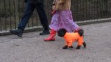 DOGGY FASHIONS
