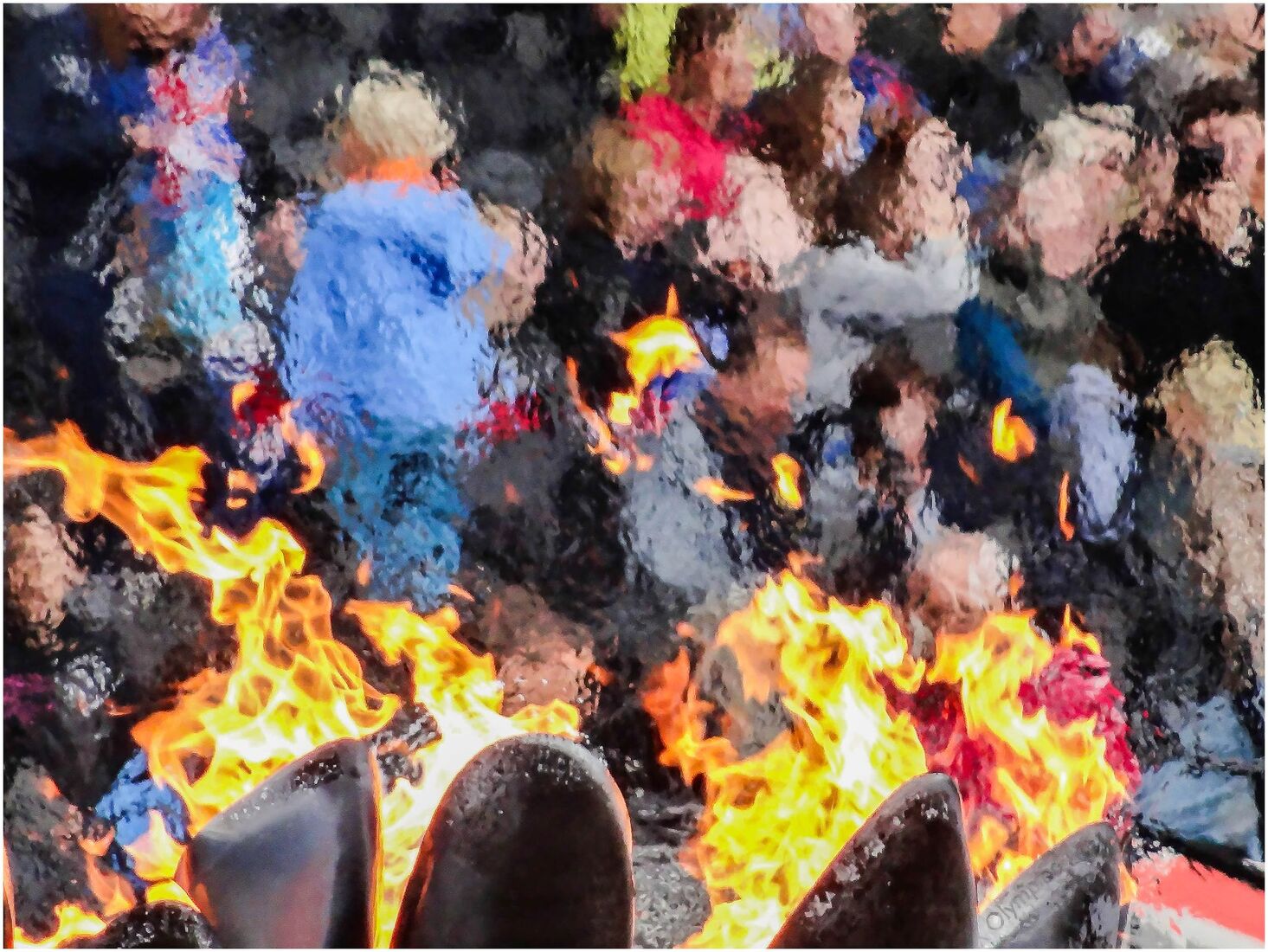 Excited Olympic Crowd