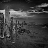 Groynes at Sandsend