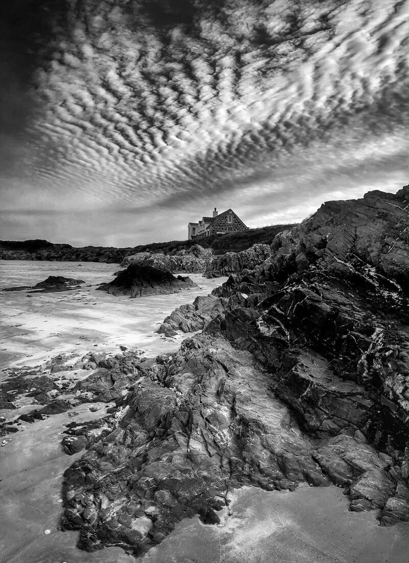 Home by the Sea by Richard Gosney