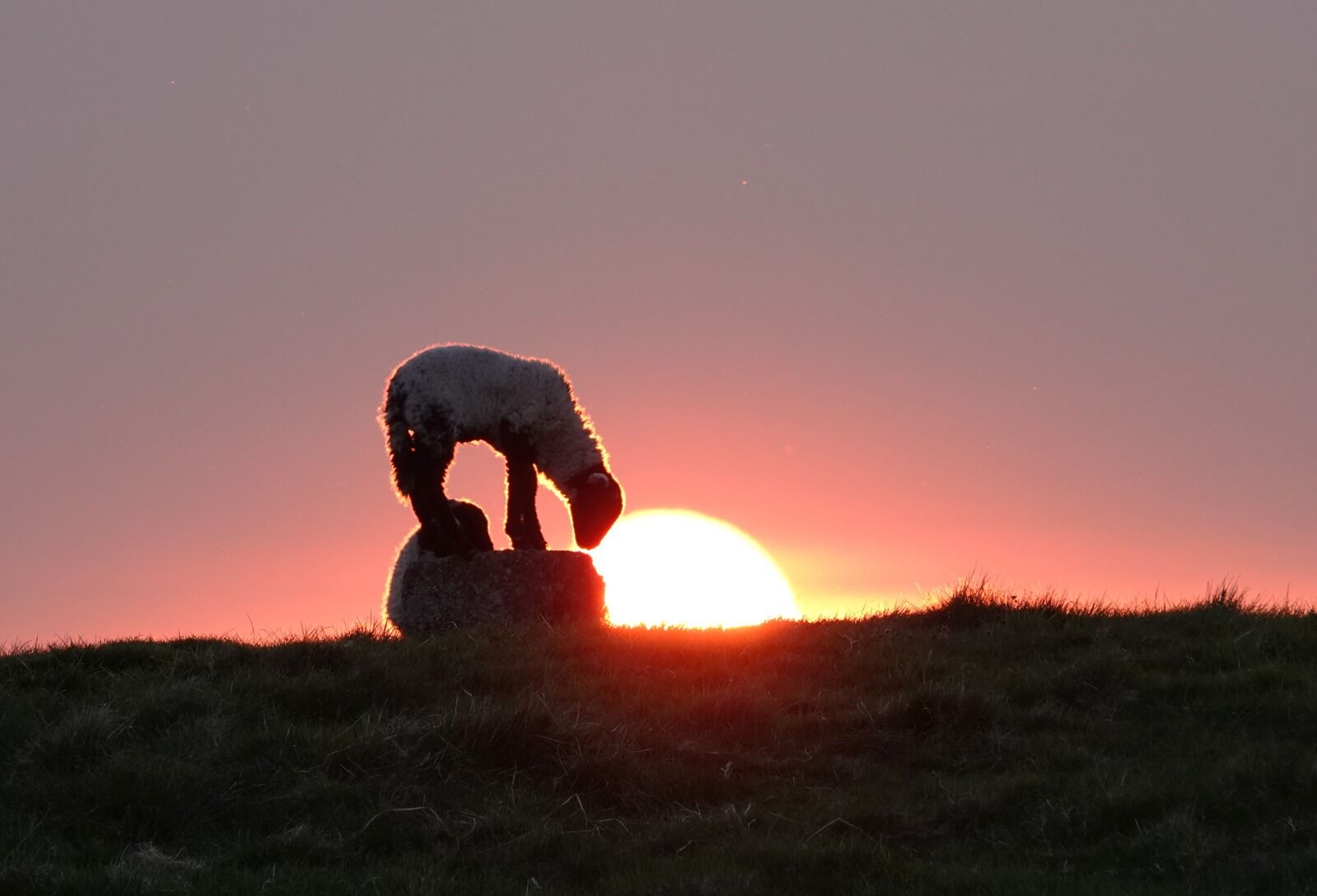 Nudging the Sun Down by Martyn Grandy
