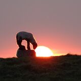 Nudging the Sun Down by Martyn Grandy
