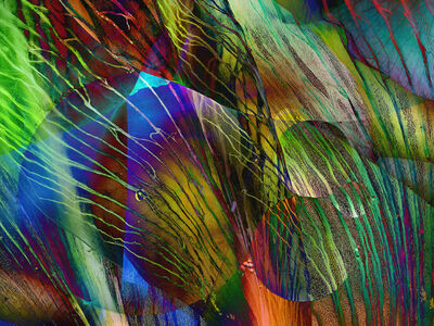 Amaryllis Bubbles