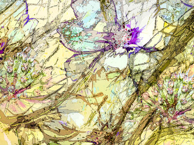 Flowers and Rocks