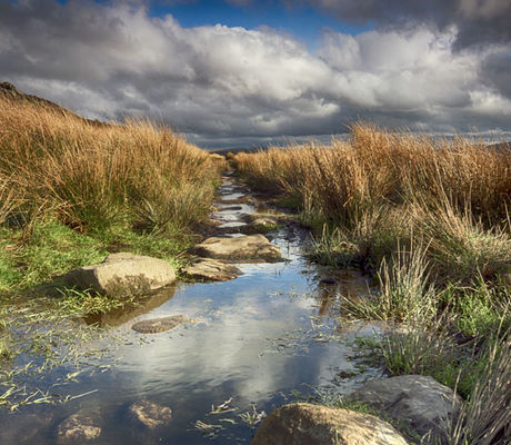 Footpath Calderdale Way