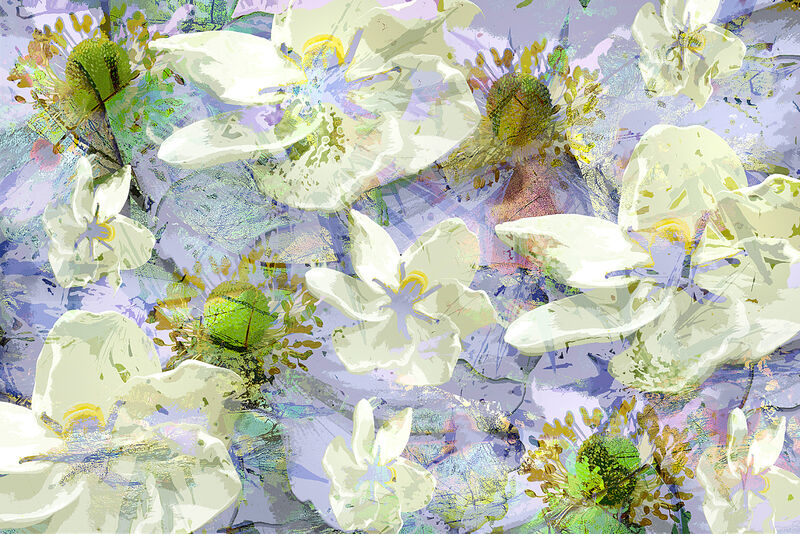 Gardenia Abstract