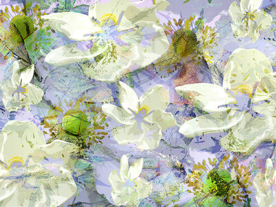 Gardenia Abstract