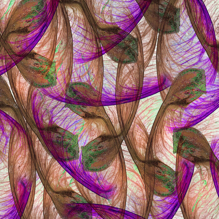 Overlapping Sycamores