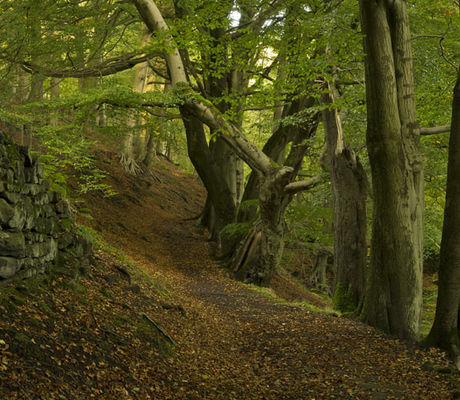 Pecket Well Clough