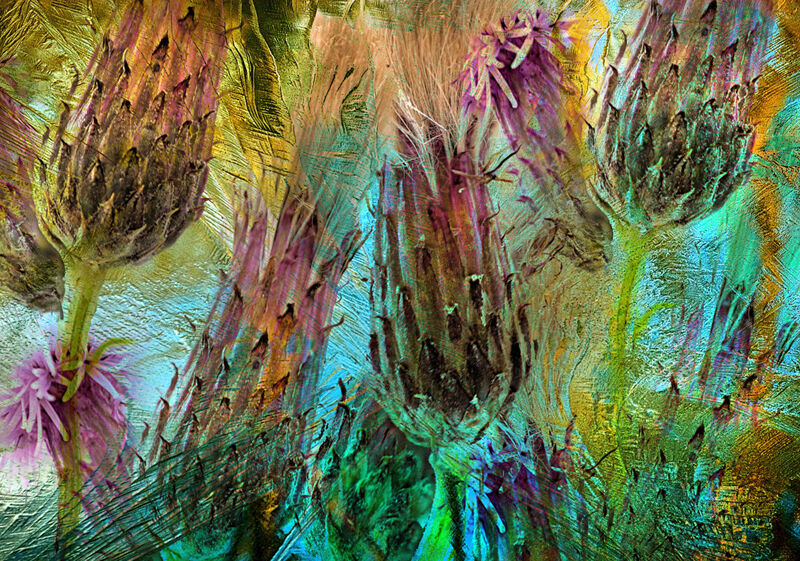 Ice Thistles