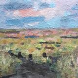 Sunset over saltmarshes