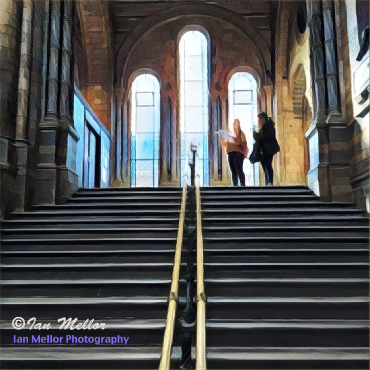 Natural History Museum, main stairs