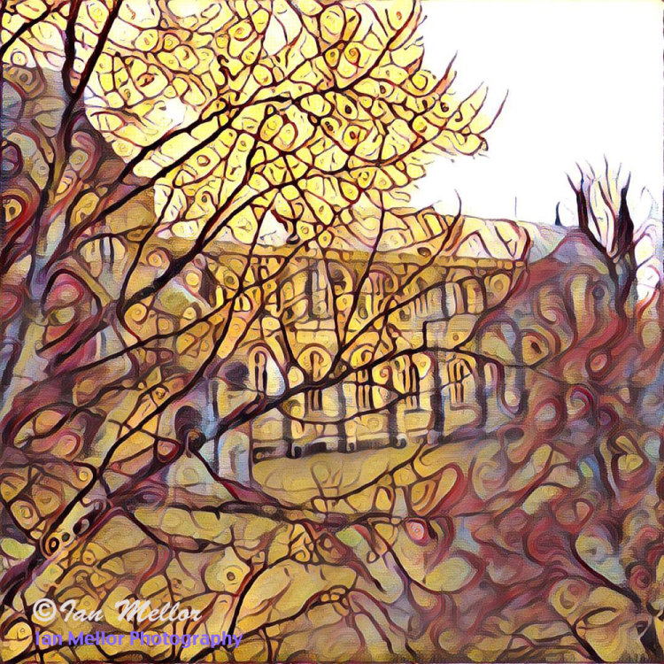 Winchester Cathedral through the Trees