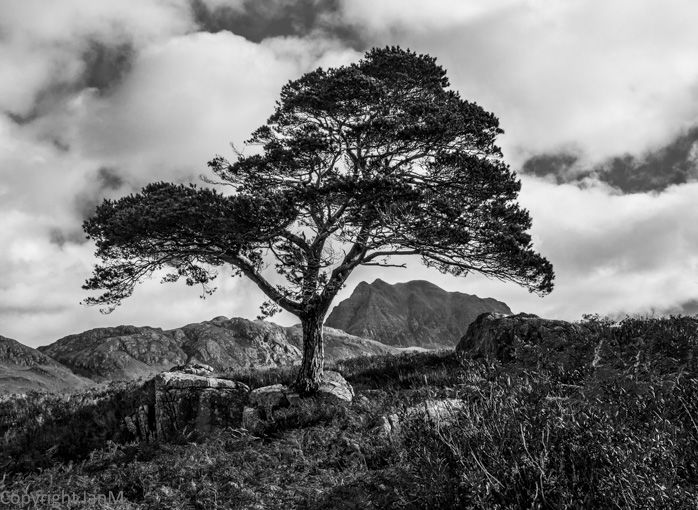 Loch Maree (4)