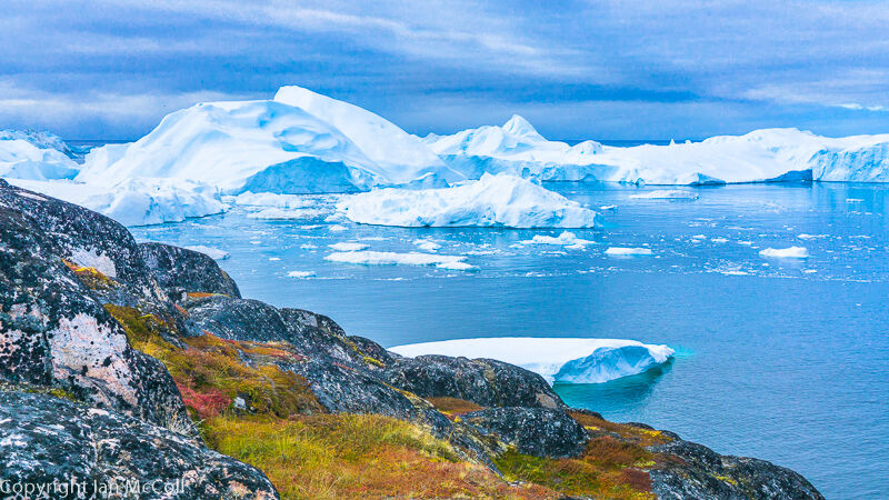 Icefjord (1)