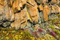 Disko Island (2)