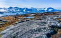 Icefjord (5)