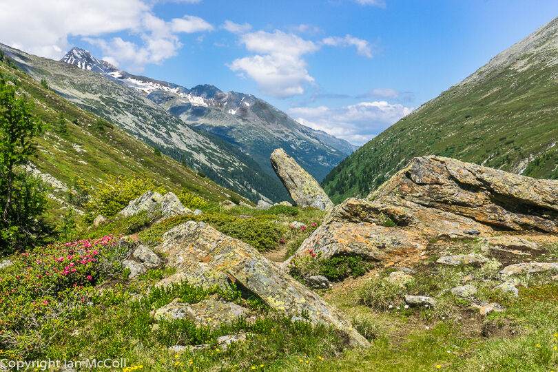 Zamser Grund (3)