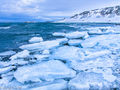 Risfjord