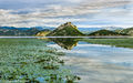 Skadar Lake