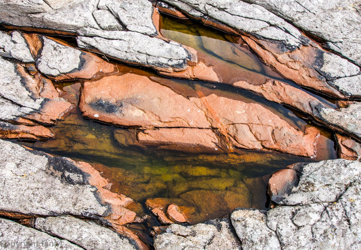 Rock Pool (2)