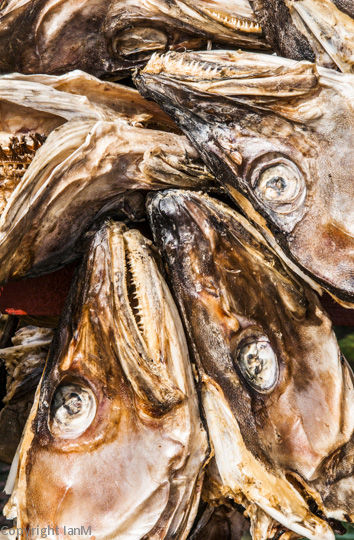 Cod Heads