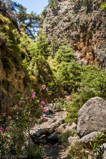 Irini Gorge (2)