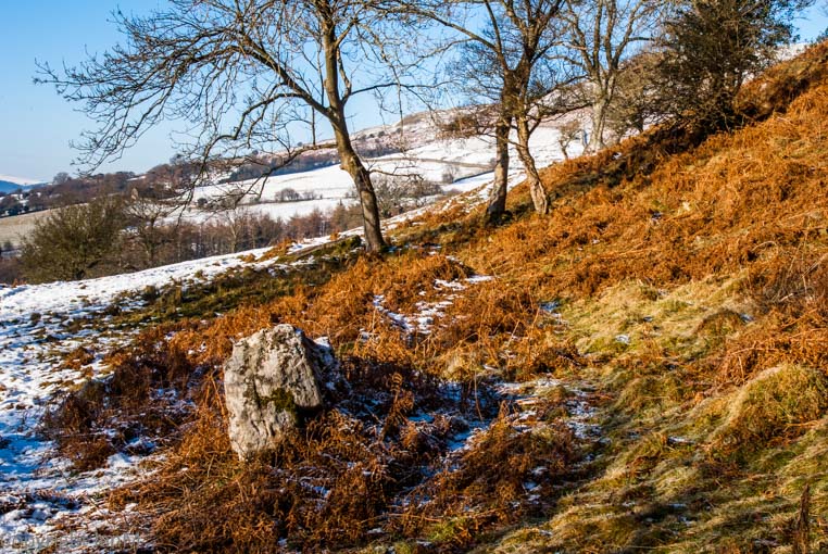 Crickhowell Hillside