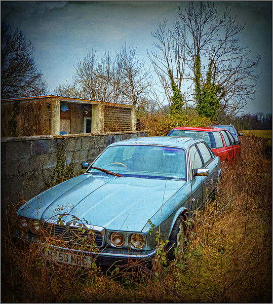 Abandoned cars