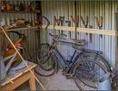 Bike shed