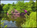 Colour by pond