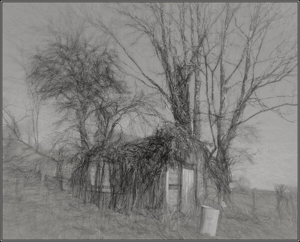Overgrown hut