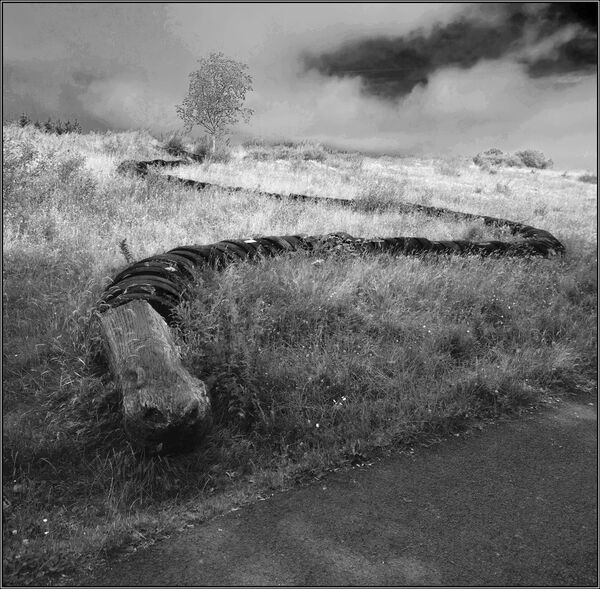 Tyre snake