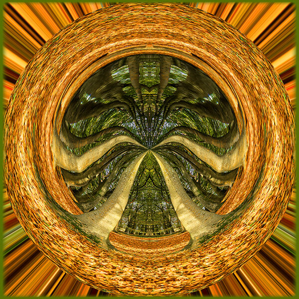 Woodland eye