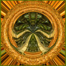 Woodland eye