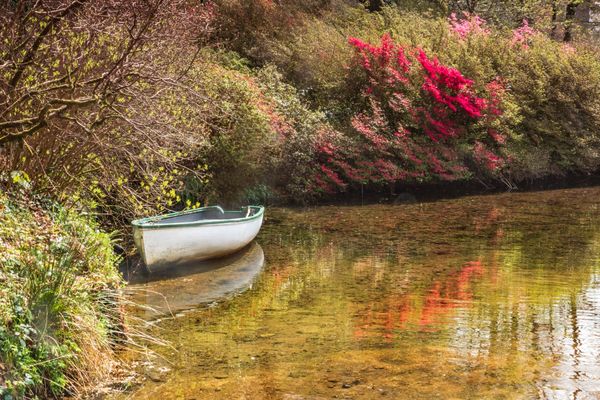 Boat on a lake