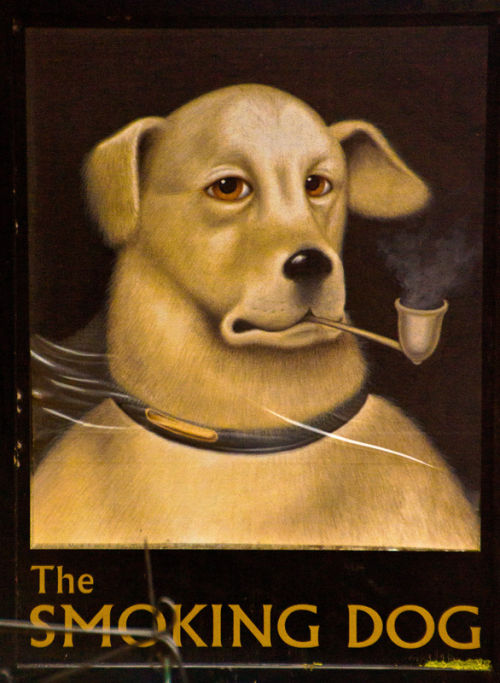 The Smoking Dog.