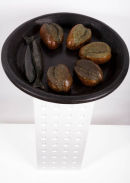 'Still Life with Corporate Building' 'Daisy Chains'