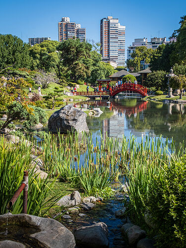 Reflections in a Japanese Garden