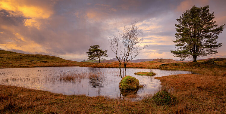 In The Morning Light