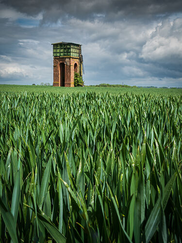 Rural Sentinel
