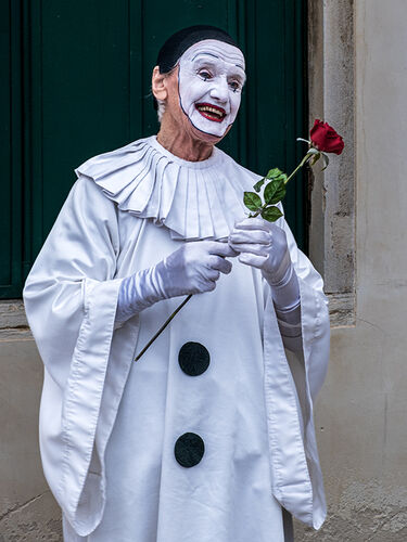 A Rose for the Silent Smile