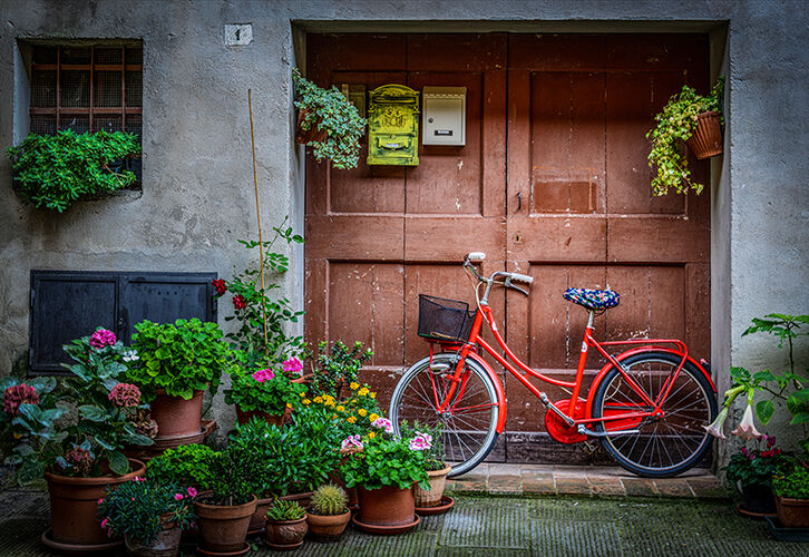 Courtyard Bicycle
