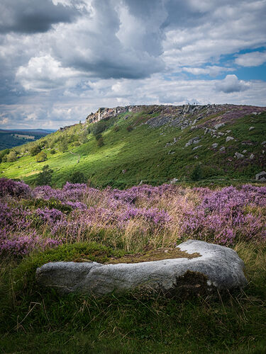 Beneath the Gathering Storm