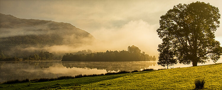 Grasmere Mist