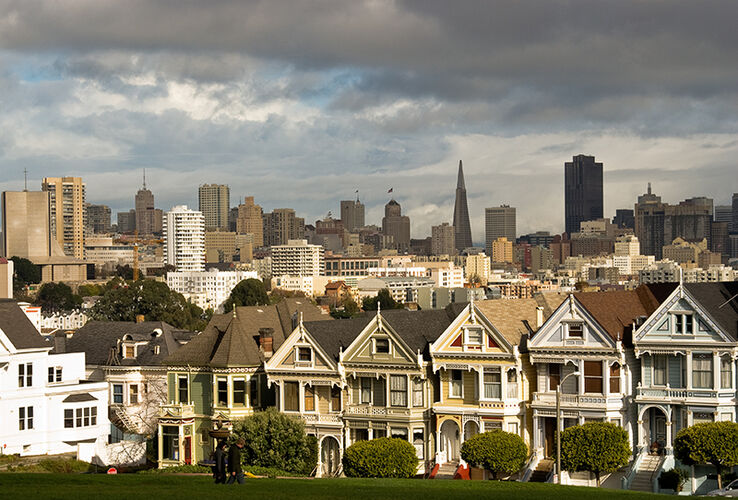 Painted Ladies