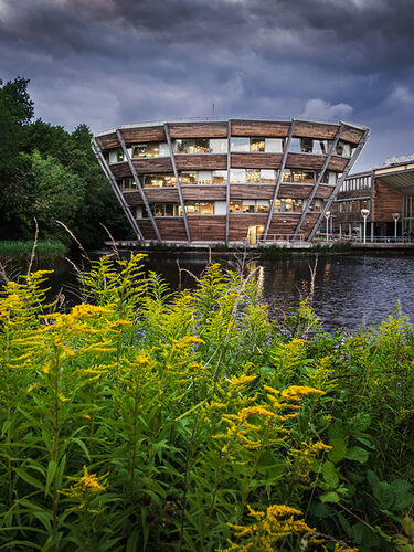 A Study in Timber & Glass