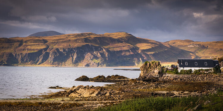 Home on the Wild Coast