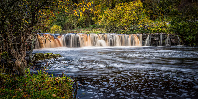 Autumns Quiet Cascade