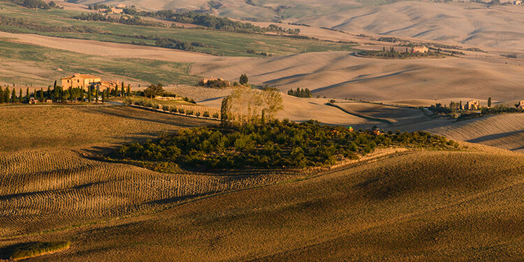 Tuscan Countryside